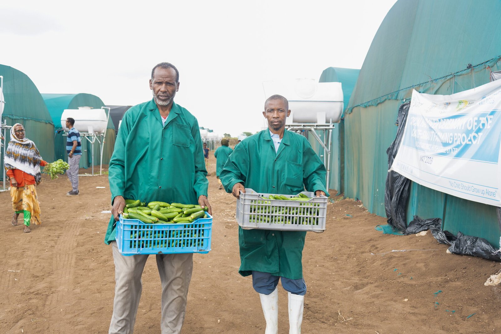 Agronomists carrying crates of fresh produce at a greenhouse facility