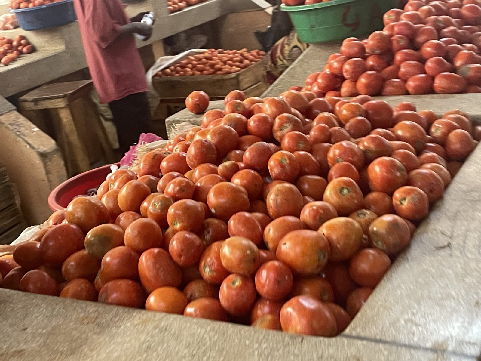 Tomatoes on display at a local produce market